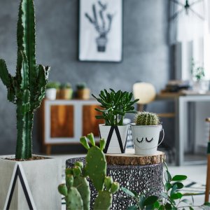 Yaşadığınız Yeri Hayalinize Göre Döşeyin