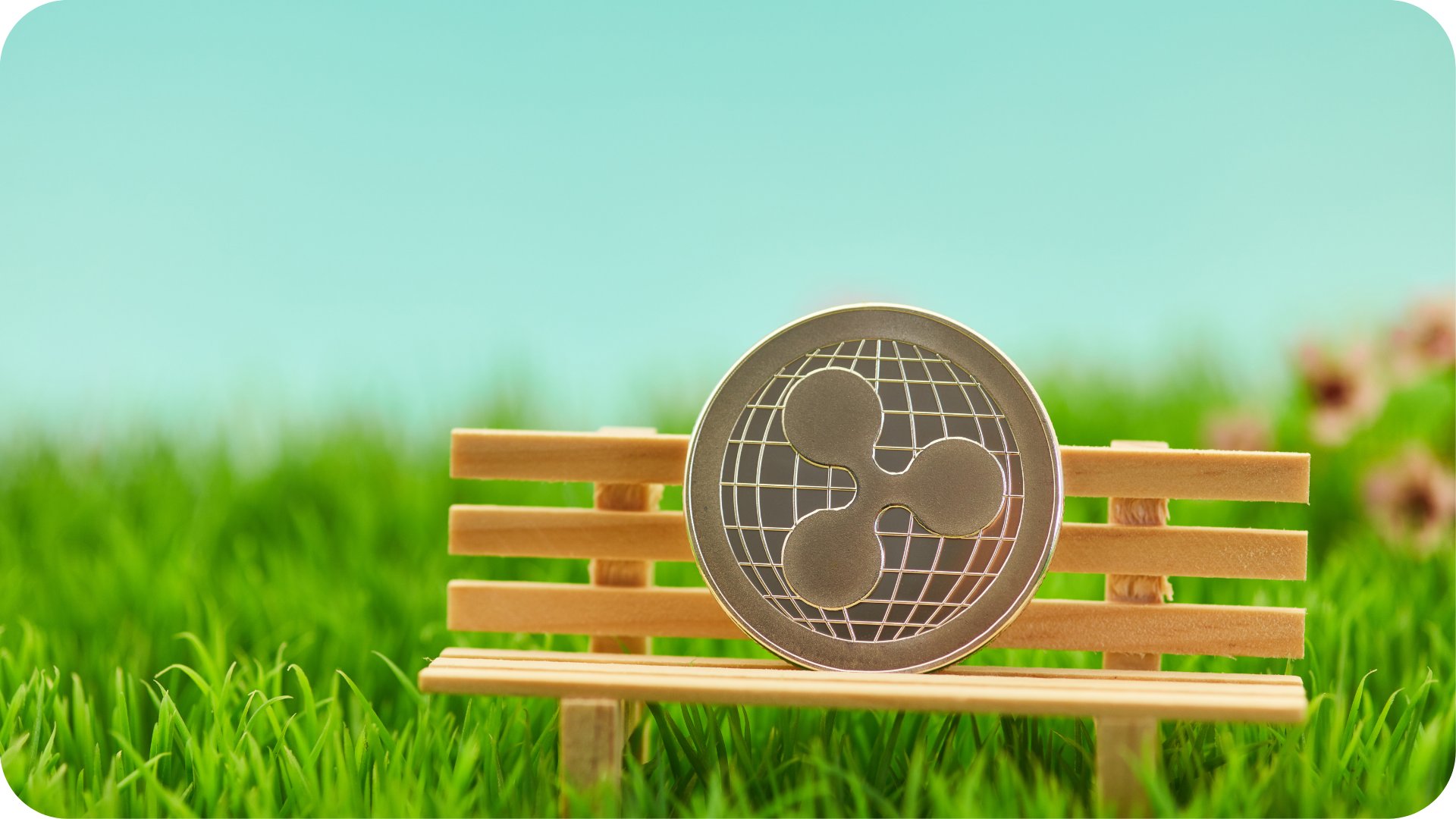 Ripple Grafiği ve Piyasa Hacmi Verileri