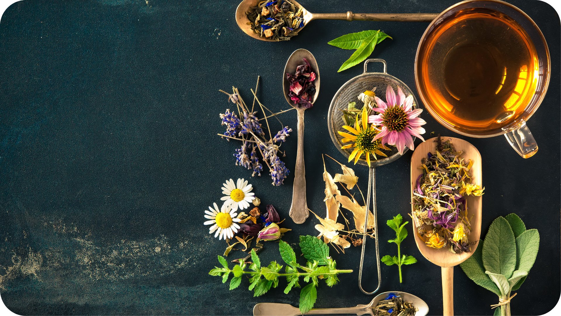 Doğal Mucize; Bitki Çayları