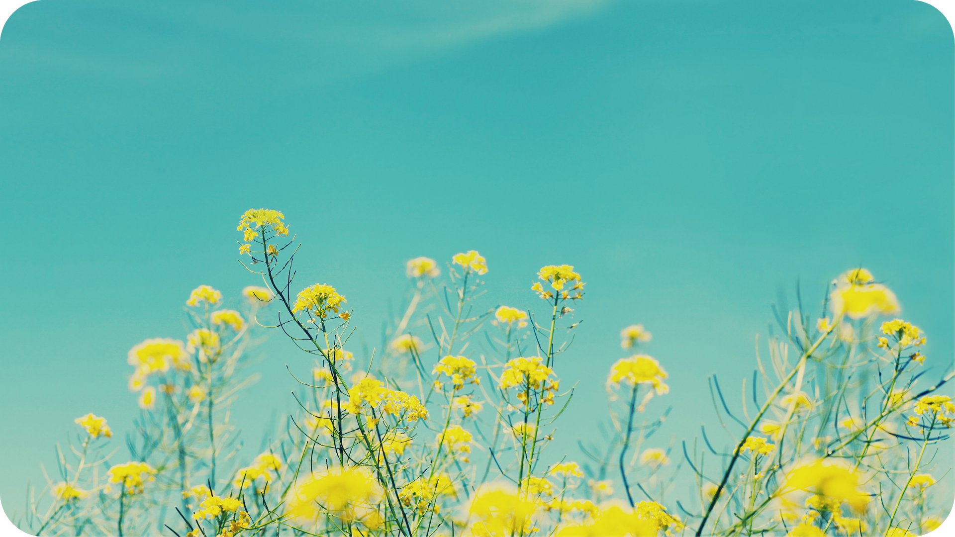 2018 Yaklaşıyor! Sade Kalın, Doğadan İlham Alın!